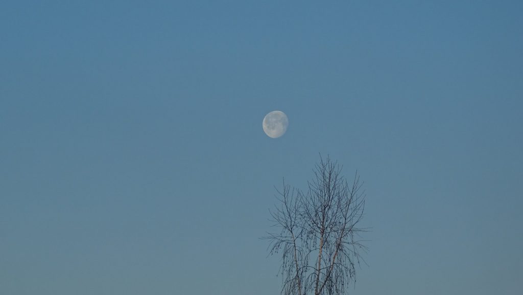 zdjęcie księżyca